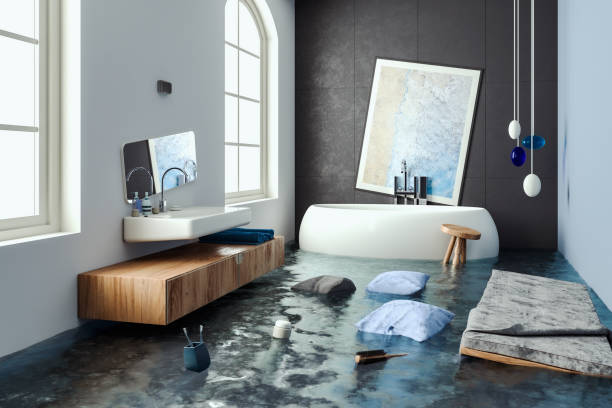 Best Flood restoration services  in Jerome, IL