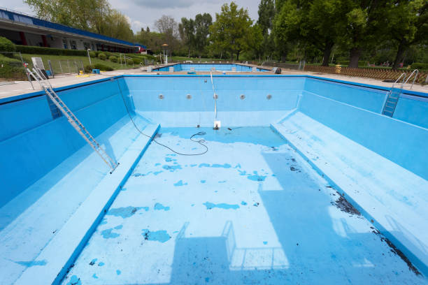 Best Mold removal after water damage  in Jerome, IL