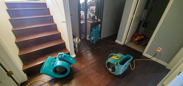 Best Water damage restoration near me  in Jerome, IL