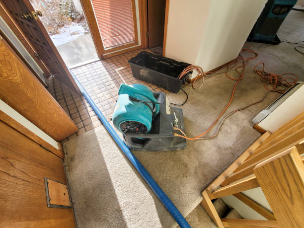 Trusted Jerome, IL Water damage restoration Experts