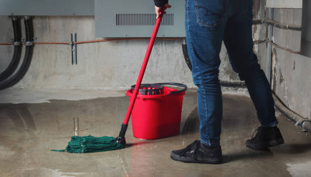  Jerome, IL Water damage restoration Pros