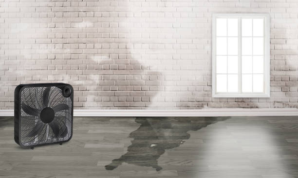 Best Emergency water damage restoration  in Jerome, IL
