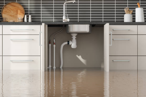Best Flooded house restoration  in Jerome, IL