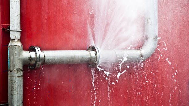 Best Commercial water damage restoration  in Jerome, IL